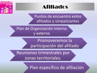 Áreas básicas de trabajo