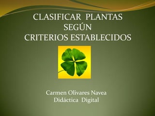 CLASIFICAR  PLANTAS SEGÚN  CRITERIOS ESTABLECIDOS Carmen Olivares Navea Didáctica  Digital 