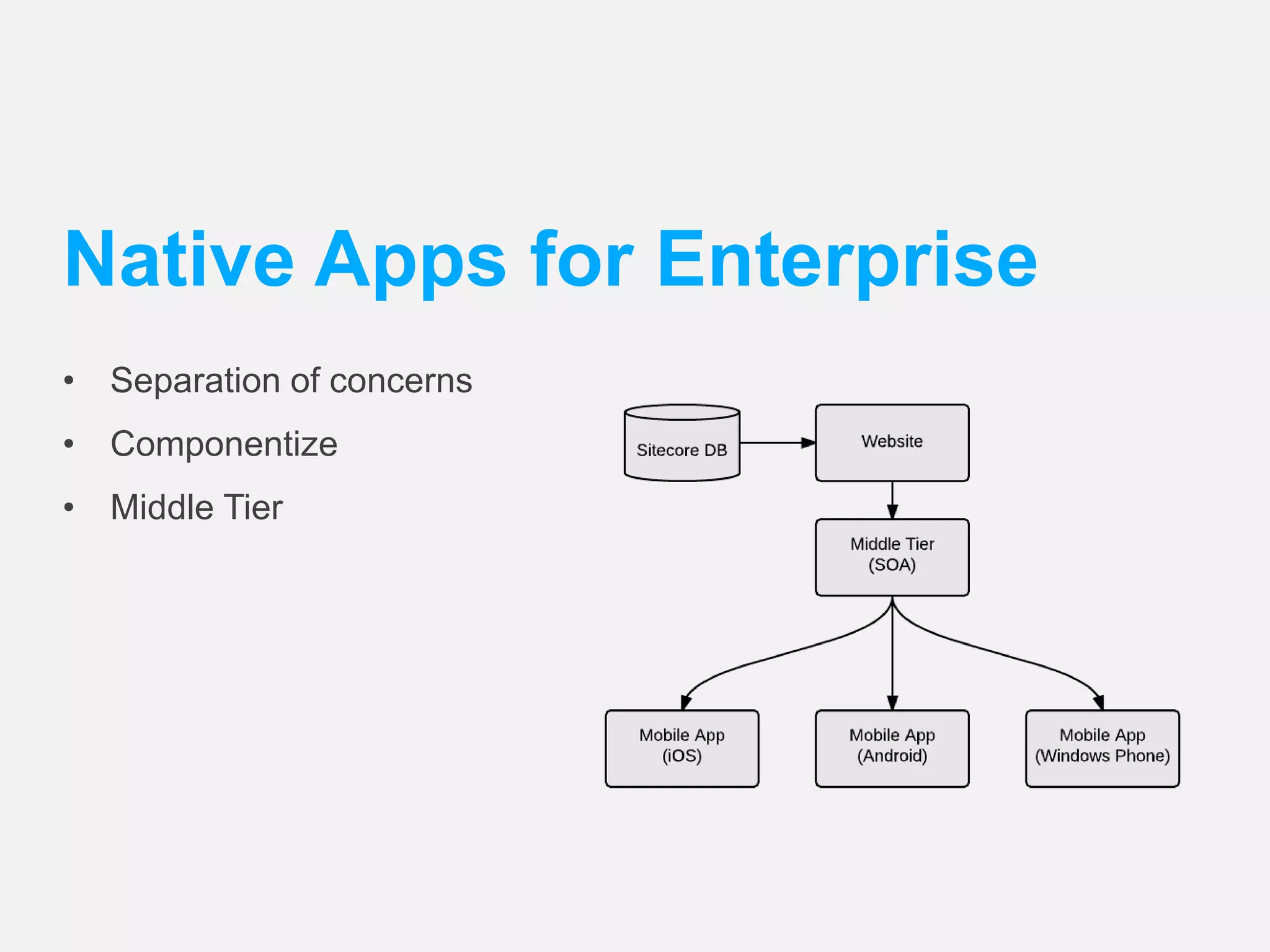 Native Apps for Enterprise 
• Separation of concerns 
• Componentize 
• Middle Tier 
 
