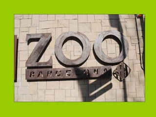 Power zoo