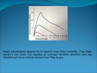 Nivell d’alcoholèmia després de la ingestió d’una (línea vermella), Tres (línea verda) o cinc (línea lila) begudes de contingut alcohòlic semblant (uns 10g d’alcohol pur) en un individu normal d’uns 70kg de pes. 