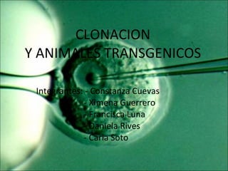CLONACION Y ANIMALES TRANSGENICOS Integrantes: - Constanza Cuevas - Ximena Guerrero - Francisca Luna - Daniela Rives - Carla Soto 