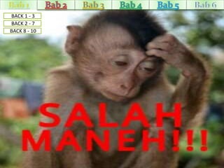 BACK 1 - 3 
BACK 2 - 7 
BACK 8 - 10 
 