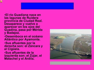 •El río Guadiana nace en
las lagunas de Ruidera
provincia de Ciudad Real.
Desaparece y vuelve a
aparecer en los ojos del
Guadina, pasa por Mérida
y Badajoz.
•Desemboca en el océano
Atlántico por Ayamonte.
•Sus afluentes por la
derecha son: el Záncara y
el Cigüela.
•Sus afluentes de la
izquierda son: el Zújar, el
Matachel y el Árdila.
 