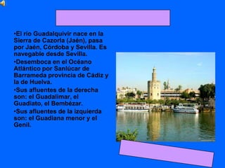 •El río Guadalquivir nace en la
Sierra de Cazorla (Jaén), pasa
por Jaén, Córdoba y Sevilla. Es
navegable desde Sevilla.
•Desemboca en el Océano
Atlántico por Sanlúcar de
Barrameda provincia de Cádiz y
la de Huelva.
•Sus afluentes de la derecha
son: el Guadalimar, el
Guadiato, el Bembézar.
•Sus afluentes de la izquierda
son: el Guadiana menor y el
Genil.
 