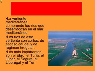 •La vertiente
mediterránea
comprende los ríos que
desembocan en el mar
mediterráneo.
•Los ríos de esta
vertiente son cortos, de
escaso caudal y de
régimen irregular.
•Los más importantes
son el Ebro, el Turia, el
Júcar, el Segura, el
Llobregat y el Ter.
 