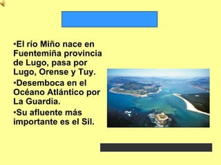 •El río Miño nace en
Fuentemiña provincia
de Lugo, pasa por
Lugo, Orense y Tuy.
•Desemboca en el
Océano Atlántico por
La Guardia.
•Su afluente más
importante es el Sil.
 