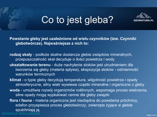 Gleby Powstawanie Gleby | PDF