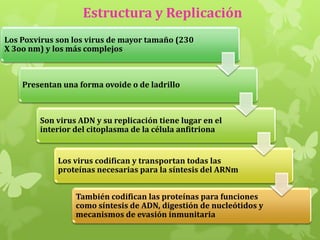 Estructura y Replicación
Los Poxvirus son los virus de mayor tamaño (230
X 3oo nm) y los más complejos

Presentan una forma ovoide o de ladrillo

Son virus ADN y su replicación tiene lugar en el
interior del citoplasma de la célula anfitriona

Los virus codifican y transportan todas las
proteínas necesarias para la síntesis del ARNm
También codifican las proteínas para funciones
como síntesis de ADN, digestión de nucleótidos y
mecanismos de evasión inmunitaria

 