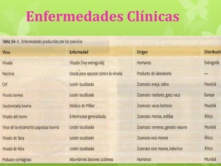 Enfermedades Clínicas

 