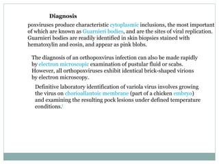 Diagnosis poxviruses produce characteristic  cytoplasmic  inclusions, the most important of which are known as  Guarnieri bodies , and are the sites of viral replication. Guarnieri bodies are readily identified in skin biopsies stained with hematoxylin and eosin, and appear as pink blobs.  The diagnosis of an orthopoxvirus infection can also be made rapidly by  electron microscopic  examination of pustular fluid or scabs. However, all orthopoxviruses exhibit identical brick-shaped virions by electron microscopy. Definitive laboratory identification of variola virus involves growing the virus on  chorioallantoic membrane  (part of a chicken  embryo ) and examining the resulting pock lesions under defined temperature conditions. [ 