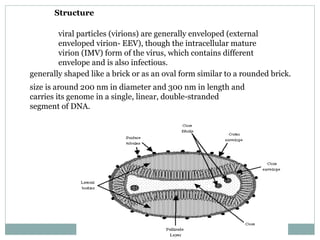 Structure viral particles (virions) are generally enveloped (external enveloped virion- EEV), though the intracellular mature virion (IMV) form of the virus, which contains different envelope and is also infectious. generally shaped like a brick or as an oval form similar to a rounded brick.  size is around 200 nm in diameter and 300 nm in length and carries its genome in a single, linear, double-stranded segment of DNA. 