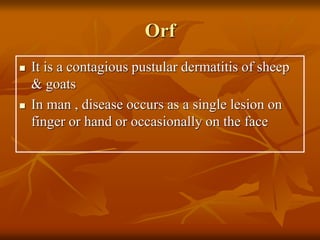 Orf
 It is a contagious pustular dermatitis of sheep
& goats
 In man , disease occurs as a single lesion on
finger or hand or occasionally on the face
 