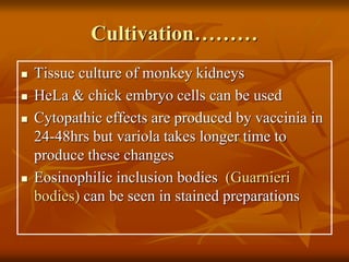 Cultivation………
 Tissue culture of monkey kidneys
 HeLa & chick embryo cells can be used
 Cytopathic effects are produced by vaccinia in
24-48hrs but variola takes longer time to
produce these changes
 Eosinophilic inclusion bodies (Guarnieri
bodies) can be seen in stained preparations
 