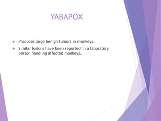 YABAPOX
 Produces large benign tumors in monkeys.
 Similar lesions have been reported in a laboratory
person handling affected monkeys.
 