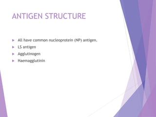 ANTIGEN STRUCTURE
 All have common nucleoprotein (NP) antigen.
 LS antigen
 Agglutinogen
 Haemagglutinin
 