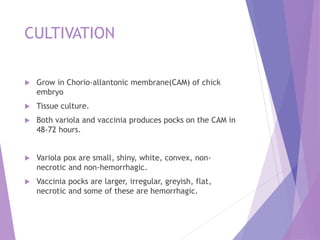 CULTIVATION
 Grow in Chorio-allantonic membrane(CAM) of chick
embryo
 Tissue culture.
 Both variola and vaccinia produces pocks on the CAM in
48-72 hours.
 Variola pox are small, shiny, white, convex, non-
necrotic and non-hemorrhagic.
 Vaccinia pocks are larger, irregular, greyish, flat,
necrotic and some of these are hemorrhagic.
 