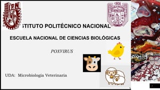 FIRST UP
CONSULTANTS
INSTITUTO POLITÉCNICO NACIONAL
POXVIRUS
1
ESCUELA NACIONAL DE CIENCIAS BIOLÓGICAS
UDA: Microbiología Veterinaria
 