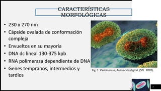 FIRST UP
CONSULTANTS
CARACTERÍSTICAS
MORFOLÓGICAS
4
Fig. 1. Variola virus, Animación digital. (SPL. 2020).
• 230 x 270 nm
• Cápside ovalada de conformación
compleja
• Envueltos en su mayoría
• DNA dc líneal 130-375 kpb
• RNA polimerasa dependiente de DNA
• Genes tempranos, intermedios y
tardíos
 