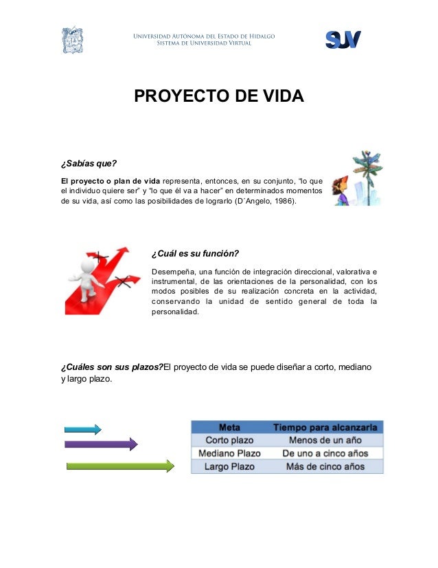 Poyecto plan de vida pdf