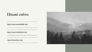 Цікаві сайти
https://www.worldwildlife.org/
https://www.fundforests.org/
https://drawdown.org/
 