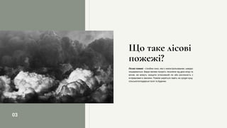 Що таке лісові
пожежі?
Лісові пожежі - стихійне лихо, яке є неконтрольованим, швидко
поширюються. Вирує велике полум’я, посилене під дією вітру та
вогнів, які можуть знищити інтенсивний ліс або рослинність з
інтервалами в хвилини. Пожежі ширяться навіть на сусідні кущі,
сільськогосподарські поля та будинки.
03
 