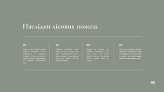 Наслідки лісових пожеж
Грунт на місці лісової пожежі
повністю знищений, а він
складається з поживних
речовин та пилу, що містять
безліч природних компонентів,
які сприяють формуванню
світу.
01
Дерева та рослини, які
сприяють постачанню світу
газом, гинуть. Чим менше
дерев та рослин, тим менше
чистого повітря, яким ми
дихаємо.
03
Тварини втрачають своє
життя. Як це не прикро, але
факт незаперечний: птахи,
білки, кролики та інші тварини
більше не живуть на цій
прекрасній землі.
02
Попіл і дим викликають серйозні
проблеми зі здоров'ям у людей,
які страждають на алергію, ХЗЛ.
Ці ж дим і попіл здатні завдати
серйозноїшкодилегкимтагорлу.
04
06
 