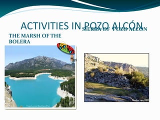 ACTIVITIES IN SIERRA OF ALCÓN
                  POZO POZO ALCÓN
THE MARSH OF THE
BOLERA
 