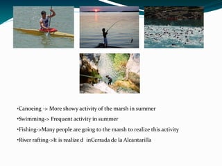 •Canoeing -> More showy activity of the marsh in summer

•Swimming-> Frequent activity in summer
•Fishing->Many people are going to the marsh to realize this activity
•River rafting->It is realize d inCerrada de la Alcantarilla
 