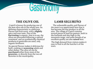 THE OLIVE OIL                            LAMB SEGUREÑO
 Castril is known by producing one of          The unbeatable quality and flavour of
the best olive oils in the whole area. Its   the meat is so appreciated here that it
defining characteristic is a delicious       has become the star product in all the
flavour and fruit scent, with a slightly     area. The village of Castril contains
spicy and sour taste. Part of the            several pieces of land for pasture, both in
harvesting is organic, that is to say, the   the lowlands and also high in the
olives are processed following a natural     mountain range, and some breeds of an
treatment, and no synthetically chemical     excellent quality are also raised here.
products or pesticides are used, only        The high demand from visitors makes it
organic fertilizers.                         easy to find in all the butcher’s of the
Its special flavour makes it delicious for   town.
both, cooking or seasoning salads and
other dishes. The olive oil can be
purchased either from most of the
groceries, or directly from the two oil
factories in the municipality.
 