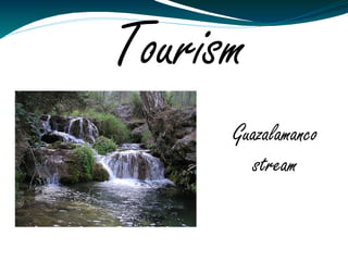 Tourism
      Guazalamanco
        stream
 