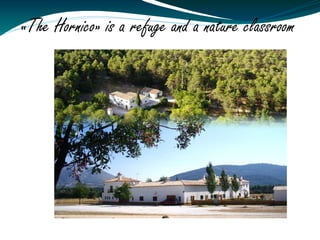 «The Hornico» is a refuge and a nature classroom
 