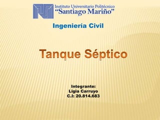 Ingeniería Civil
Integrante:
Ligia Carruyo
C.I: 20.814.683
 