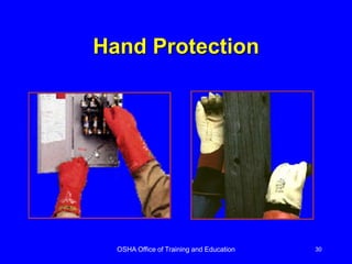 OSHA Office of Training and Education 30
Hand Protection
 