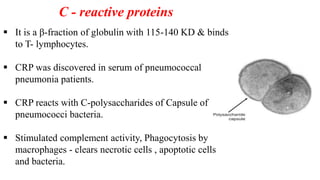 PP-02: Plasma Proteins (Globulins, Acute phase proteins, Transport ...