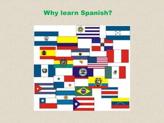 Why learn Spanish?
 