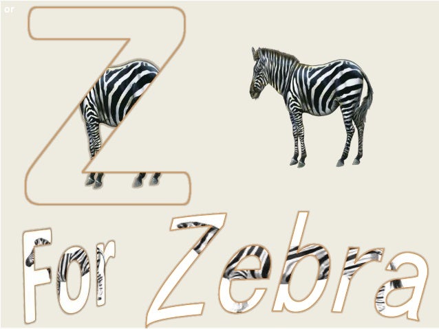 How To Learn A For Apple To Z For Zebra Alphabets See Say Learn A T