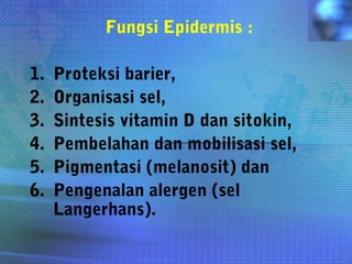 Fungsi Epidermis :
1. Proteksi barier,
2. Organisasi sel,
3. Sintesis vitamin D dan sitokin,
4. Pembelahan dan mobilisasi sel,
5. Pigmentasi (melanosit) dan
6. Pengenalan alergen (sel
Langerhans).
 