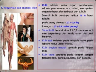 1. Pengertian dan anatomi kulit
• Kulit adalah suatu organ pembungkus
seluruh permukaan luar tubuh, merupakan
organ terberat dan terbesar dari tubuh.
Seluruh kulit beratnya sekitar 14 % berat
tubuh :
pada orang dewasa : 2,7 – 3,6 kg
luasnya : 1,5 – 1,9 meter persegi.
• Tebal kulit bervariasi mulai 0,5 mm sampai 6
mm tergantung dari letak, umur dan jenis
kelamin.
• Kulit tipis terletak pada kelopak mata, penis,
labium minus ( bibir mulut )
• Kulit bagian medial terletak pada lengan
atas.
• Kulit tebal terdapat pada telapak tangan,
telapak kaki, punggung, bahu dan bokong.
 
