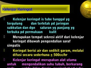 Kelenjar Keringat
 Kelenjar keringat is tube tunggal yg
tergulung dan terletak pd jaringan
subkutan dan dgn saluran yg panjang yg
terbuka pd permukaan kulit
 Merupakan tempat sekresi aktif dari kelenjar
keringat dibawah pengendalian saraf
simpatis
 Keringat berisi air dan sedikit garam, melalui
difusi secara sederhana ± 500cc/hr
 Kelenjar keringat merupakan alat utama
untuk mengendalikan suhu tubuh, berkurang
 