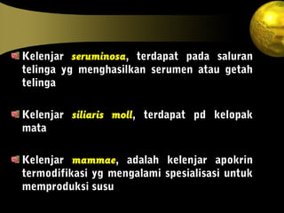Kelenjar seruminosa, terdapat pada saluran
telinga yg menghasilkan serumen atau getah
telinga
Kelenjar siliaris moll, terdapat pd kelopak
mata
Kelenjar mammae, adalah kelenjar apokrin
termodifikasi yg mengalami spesialisasi untuk
memproduksi susu
 