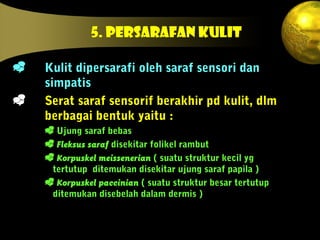 5. PERSARAFAN KULIT
 Kulit dipersarafi oleh saraf sensori dan
simpatis
 Serat saraf sensorif berakhir pd kulit, dlm
berbagai bentuk yaitu :
 Ujung saraf bebas
 Fleksus saraf disekitar folikel rambut
 Korpuskel meissenerian ( suatu struktur kecil yg
tertutup ditemukan disekitar ujung saraf papila )
 Korpuskel paccinian ( suatu struktur besar tertutup
ditemukan disebelah dalam dermis )
 