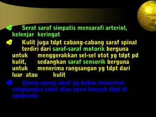  Serat saraf simpatis mensarafi arteriol,
kelenjar keringat
 Kulit juga tdpt cabang-cabang saraf spinal
terdiri dari saraf-saraf motorik berguna
untuk menggerakkan sel-sel otot yg tdpt pd
kulit, sedangkan saraf sensorik berguna
untuk menerima rangsangan yg tdpt dari
luar atau kulit
 Ujung-ujung saraf yg bebas menerima
rangsangan sakit atau nyeri banyak tdpt di
epidermis
 