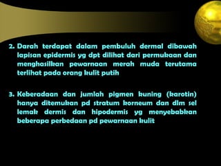 2. Darah terdapat dalam pembuluh dermal dibawah
lapisan epidermis yg dpt dilihat dari permukaan dan
menghasilkan pewarnaan merah muda terutama
terlihat pada orang kulit putih
3. Keberadaan dan jumlah pigmen kuning (karotin)
hanya ditemukan pd stratum korneum dan dlm sel
lemak dermis dan hipodermis yg menyebabkan
beberapa perbedaan pd pewarnaan kulit
 