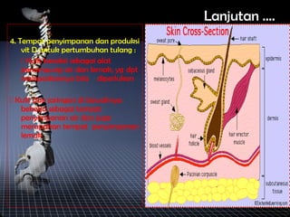 4. Tempat penyimpanan dan produksi
vit D untuk pertumbuhan tulang :
 Kulit beraksi sebagai alat
penampung air dan lemak, yg dpt
melepaskannya bila diperlukan
 Kulit dan jaringan di bawahnya
bekerja sebagai tempat
penyimpanan air dan juga
merupakan tempat penyimpanan
lemak
Lanjutan ….
 