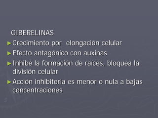 GIBERELINASGIBERELINAS
►►Crecimiento por elongación celularCrecimiento por elongación celular
►►Efecto antagónico con auxinasEfecto antagónico con auxinas
►►Inhibe la formación de raíces, bloquea laInhibe la formación de raíces, bloquea la
división celulardivisión celular
►►Acción inhibitoria es menor o nula a bajasAcción inhibitoria es menor o nula a bajas
concentracionesconcentraciones
 