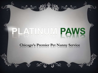 Chicago’s Premier Pet Nanny Service
 