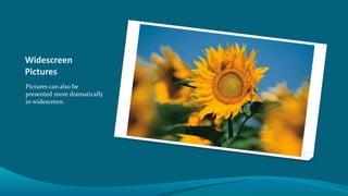 Widescreen
Pictures
Pictures can also be
presented more dramatically
in widescreen.
 
