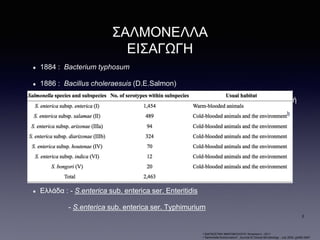 ΣΑΛΜΟΝΕΛΛΑ
ΕΙΣΑΓΩΓΗ
1884 : Bacterium typhosum
1886 : Bacillus choleraesuis (D.E.Salmon)
έως 1966 : στέλεχος = είδος (ονομασία από ζώο, νόσο ή γεωγραφική περιοχή
προέλευσης)
1973 : DNA hybridization = ένα είδος
1982 : Salmonella cholaraesius με έξι υποείδη
1986 … 2005 : 1) S.enterica (έξι υποείδη και >2400 οροτύπους)
2) S.bongori
Ελλάδα : - S.enterica sub. enterica ser. Enteritidis
- S.enterica sub. enterica ser. Typhimurium
•“ΔΙΑΓΝΩΣΤΙΚΗ ΜΙΚΡΟΒΙΟΛΟΓΙΑ”,Koneman’s - 2011
•“Salmonella Nomenclature”, Jourmal of Clinical Microbiology - July 2000, g2465-2467
2
 