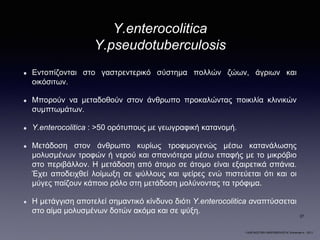 Y.enterocolitica
Y.pseudotuberculosis
Εντοπίζονται στο γαστρεντερικό σύστημα πολλών ζώων, άγριων και
οικόσιτων.
Μπορούν να μεταδοθούν στον άνθρωπο προκαλώντας ποικιλία κλινικών
συμπτωμάτων.
Y.enterocolitica : >50 ορότυπους με γεωγραφική κατανομή.
Μετάδοση στον άνθρωπο κυρίως τροφιμογενώς μέσω κατανάλωσης
μολυσμένων τροφών ή νερού και σπανιότερα μέσω επαφής με το μικρόβιο
στο περιβάλλον. Η μετάδοση από άτομο σε άτομο είναι εξαιρετικά σπάνια.
Έχει αποδειχθεί λοίμωξη σε ψύλλους και ψείρες ενώ πιστεύεται ότι και οι
μύγες παίζουν κάποιο ρόλο στη μετάδοση μολύνοντας τα τρόφιμα.
Η μετάγγιση αποτελεί σημαντικό κίνδυνο διότι Y.enterocolitica αναπτύσσεται
στο αίμα μολυσμένων δοτών ακόμα και σε ψύξη.
•“ΔΙΑΓΝΩΣΤΙΚΗ ΜΙΚΡΟΒΙΟΛΟΓΙΑ”,Koneman’s - 2011
27
 